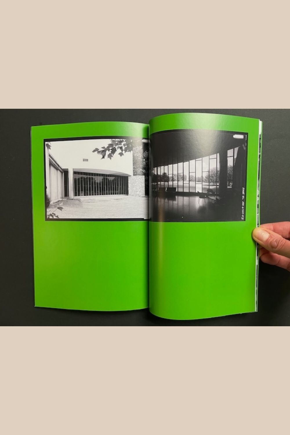 The Light Observer Issue 8