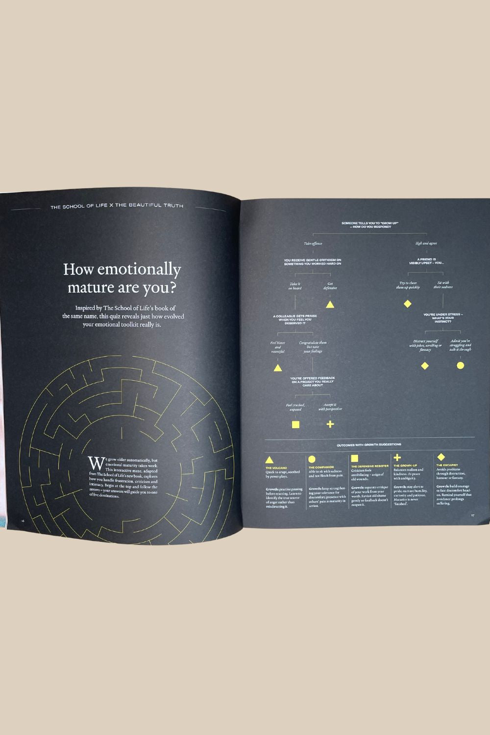 The Beautiful Truth Issue 6