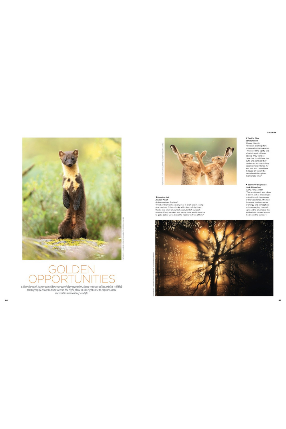 PRE SALE The Simple Things Issue 171 September