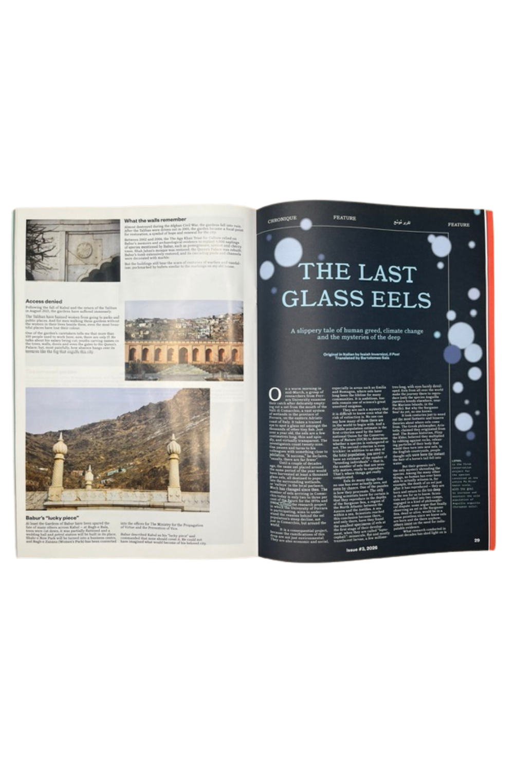 Translator Issue 3
