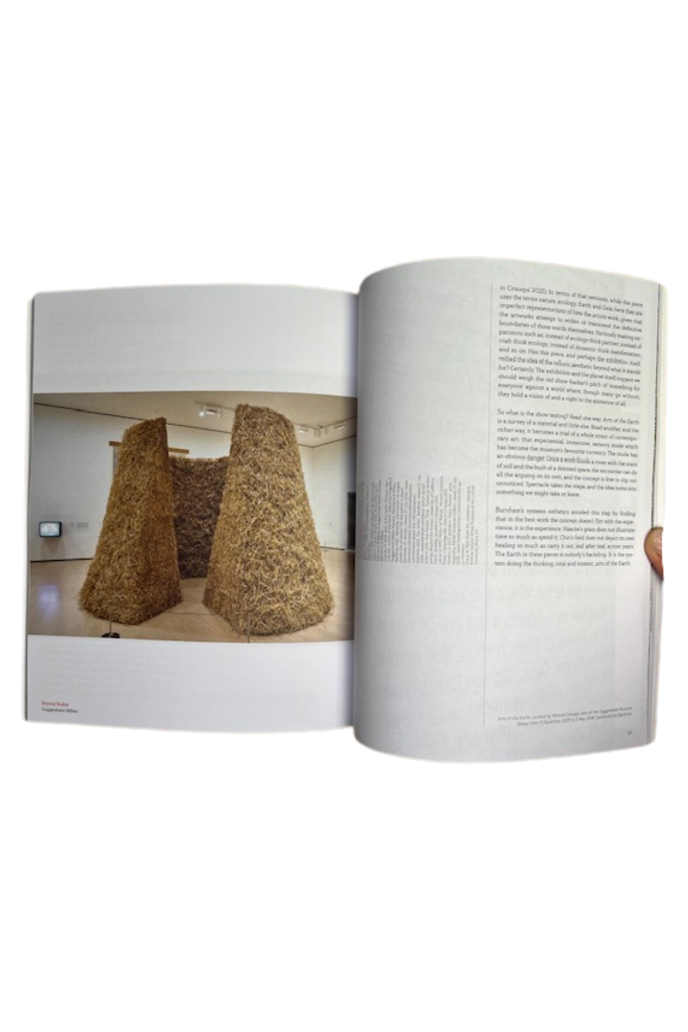 Trebuchet Issue 19