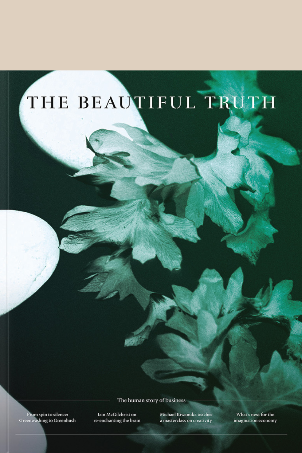 The Beautiful Truth Issue 5 Cover