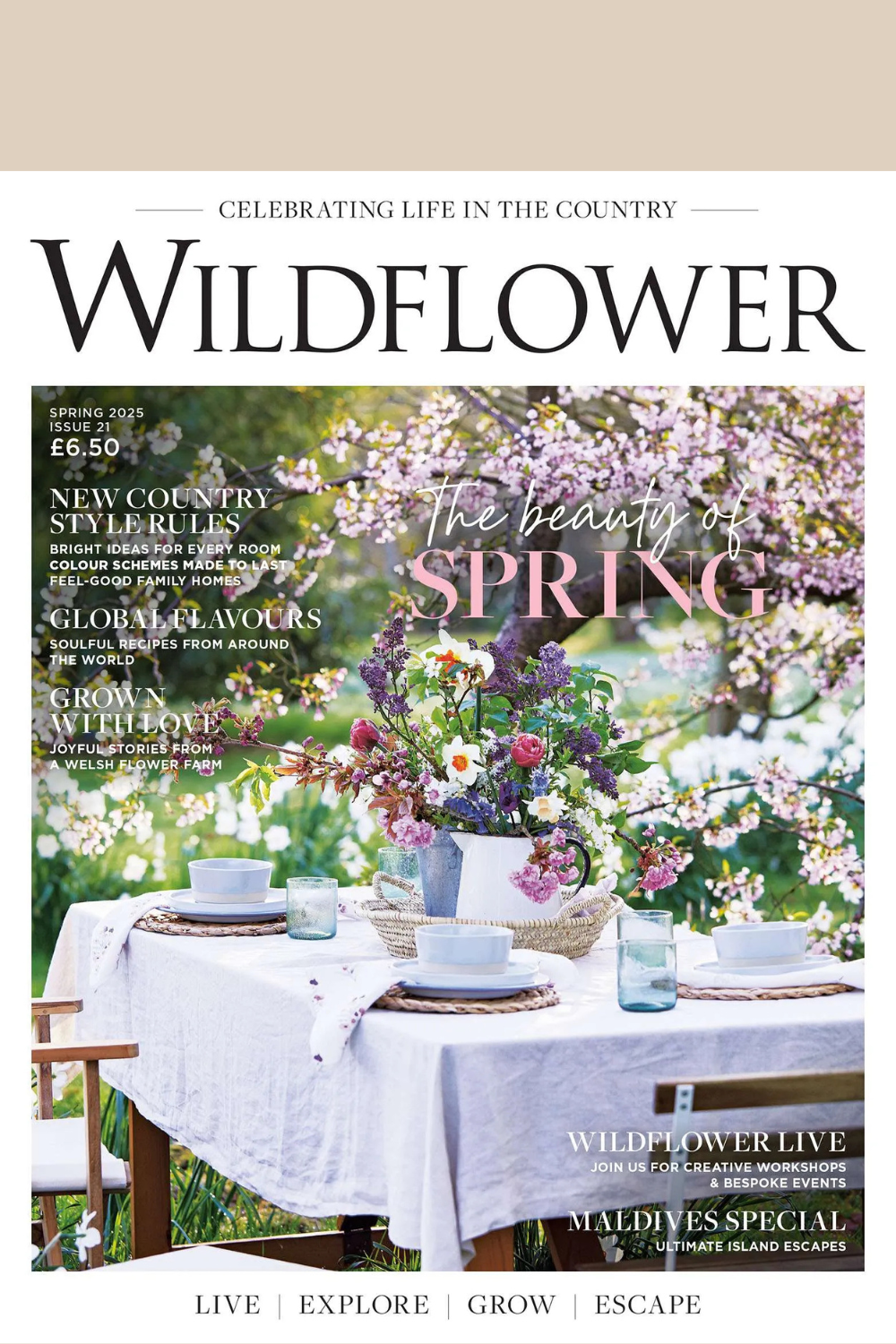 Wildflower Issue 21 Cover