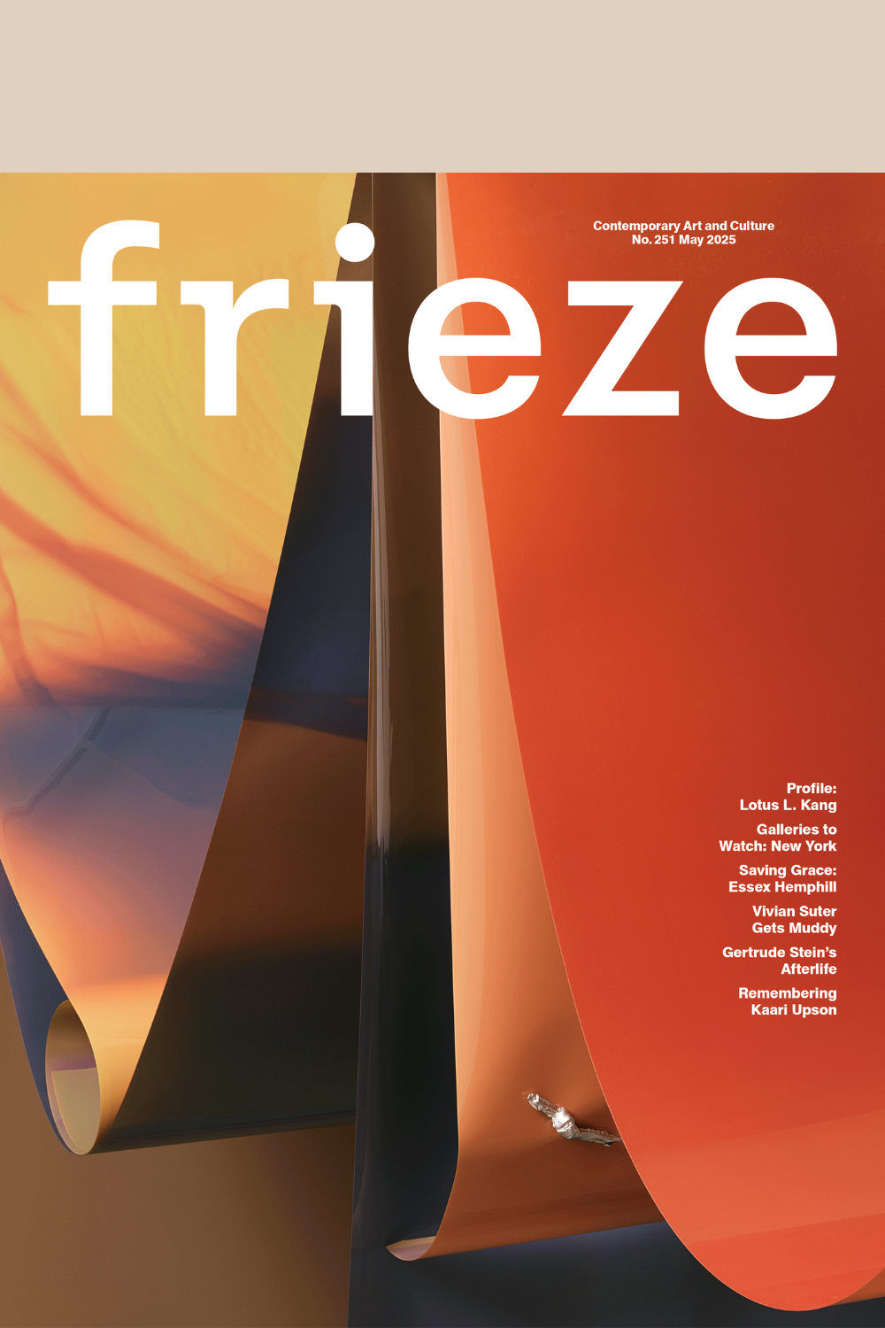 Frieze Issue 251 Cover