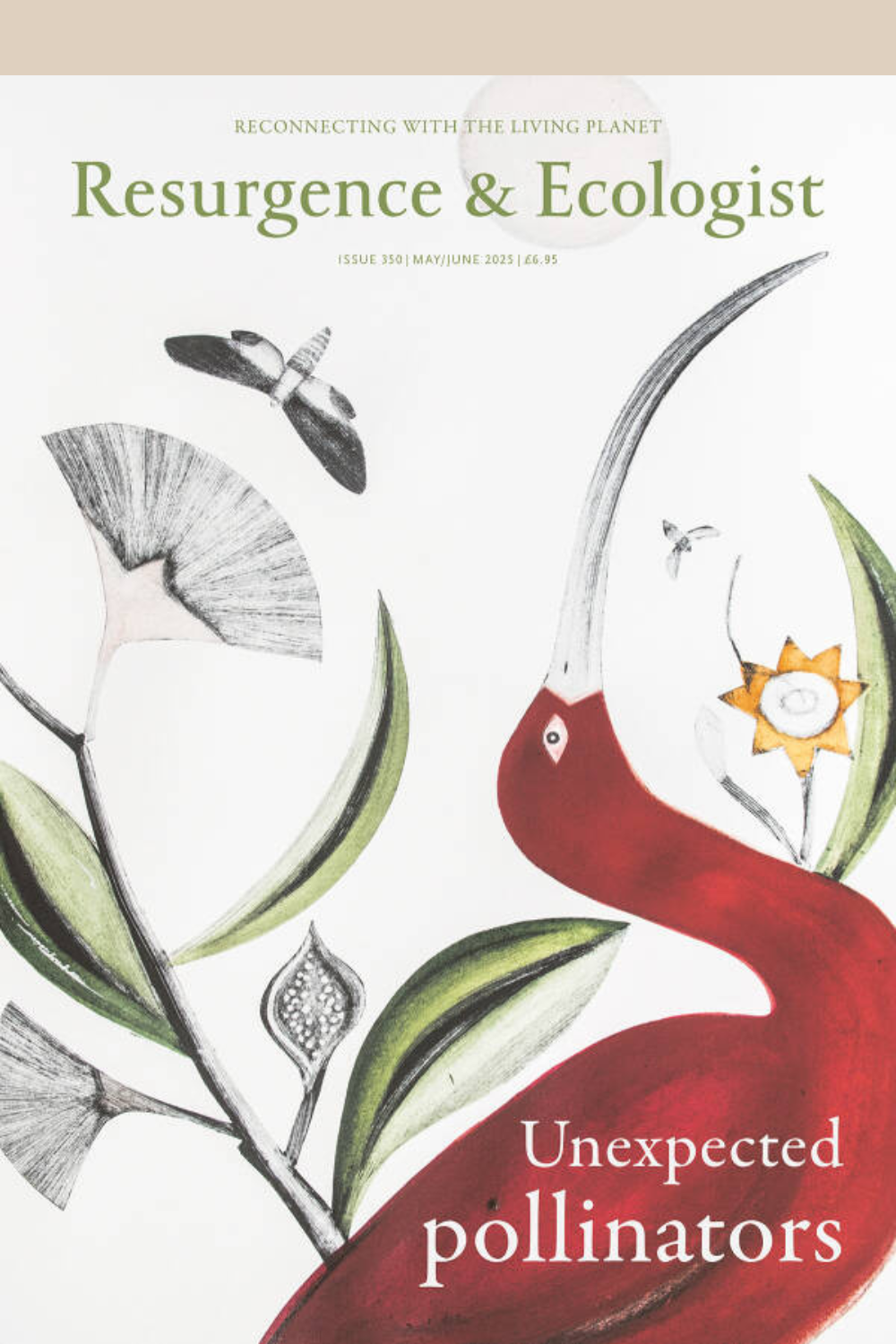 Resurgence & Ecologist Issue 350 Cover