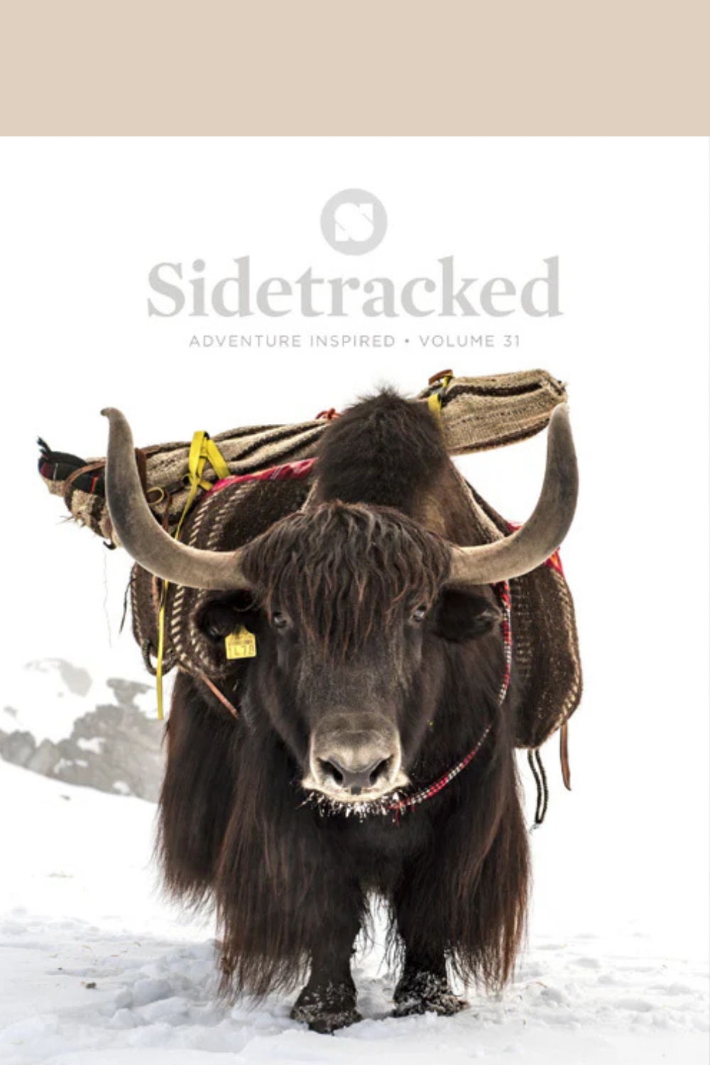 Sidetracked 31 Cover