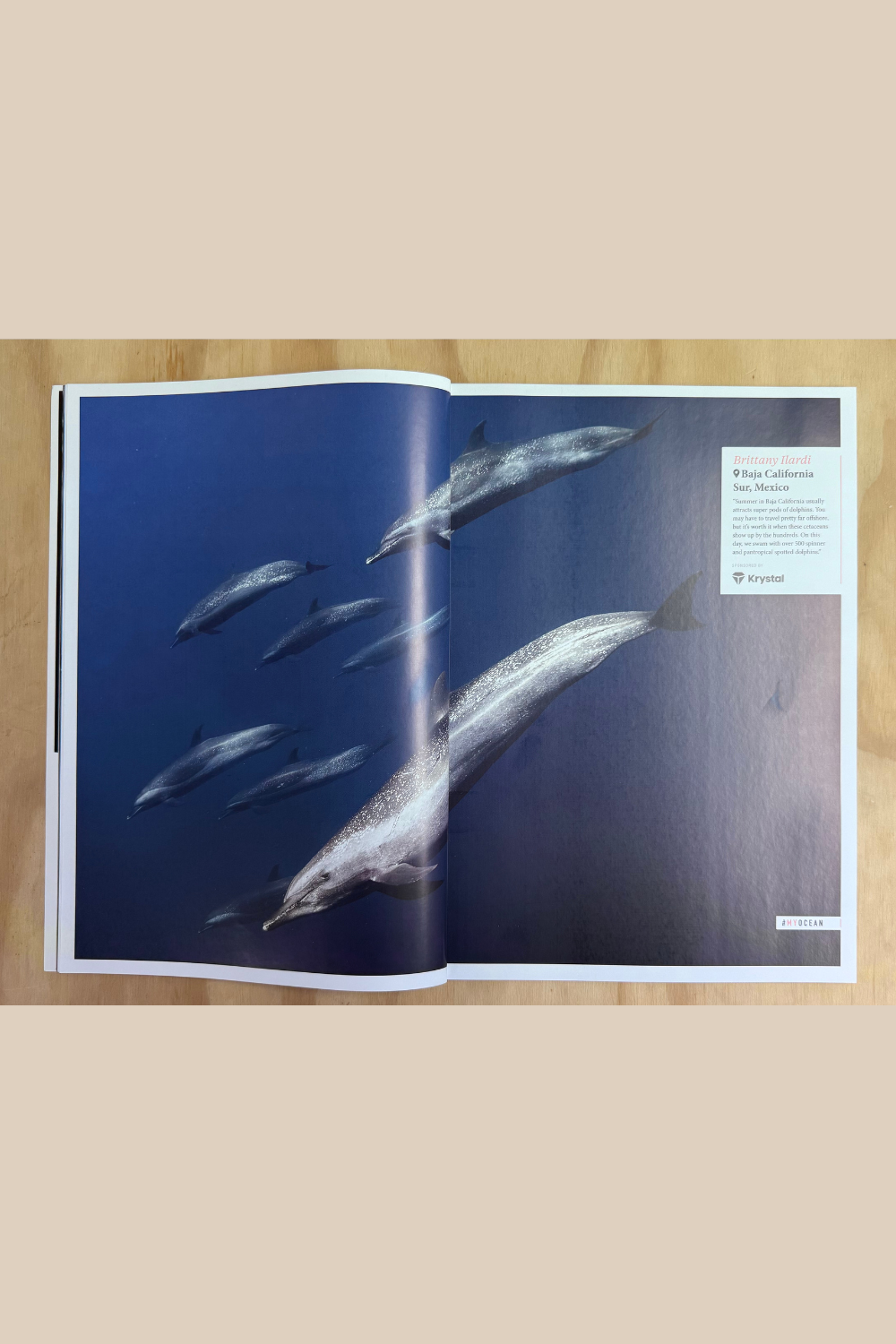 Oceanographic Issue 39