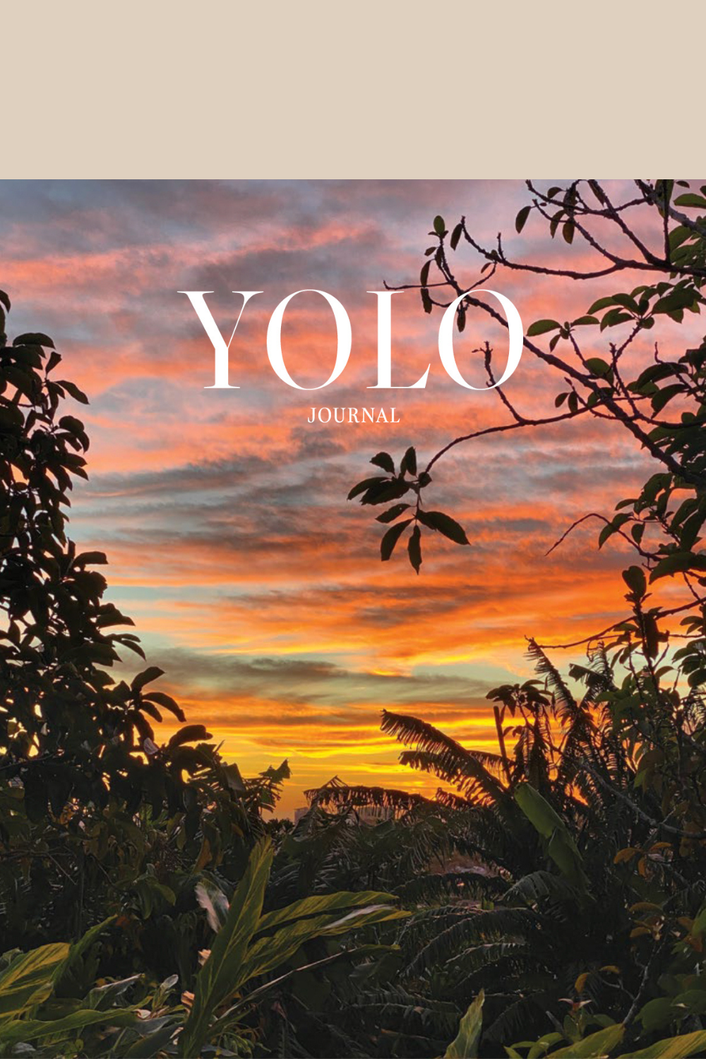 YOLO Journal 17 Cover