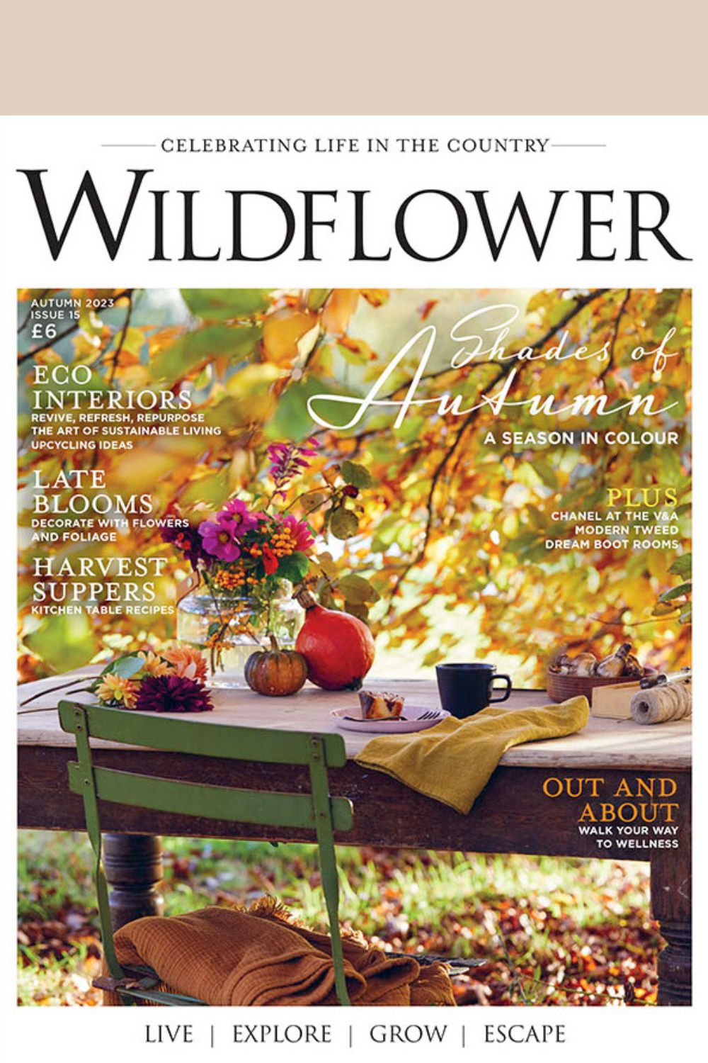 Wildflower 15 Cover