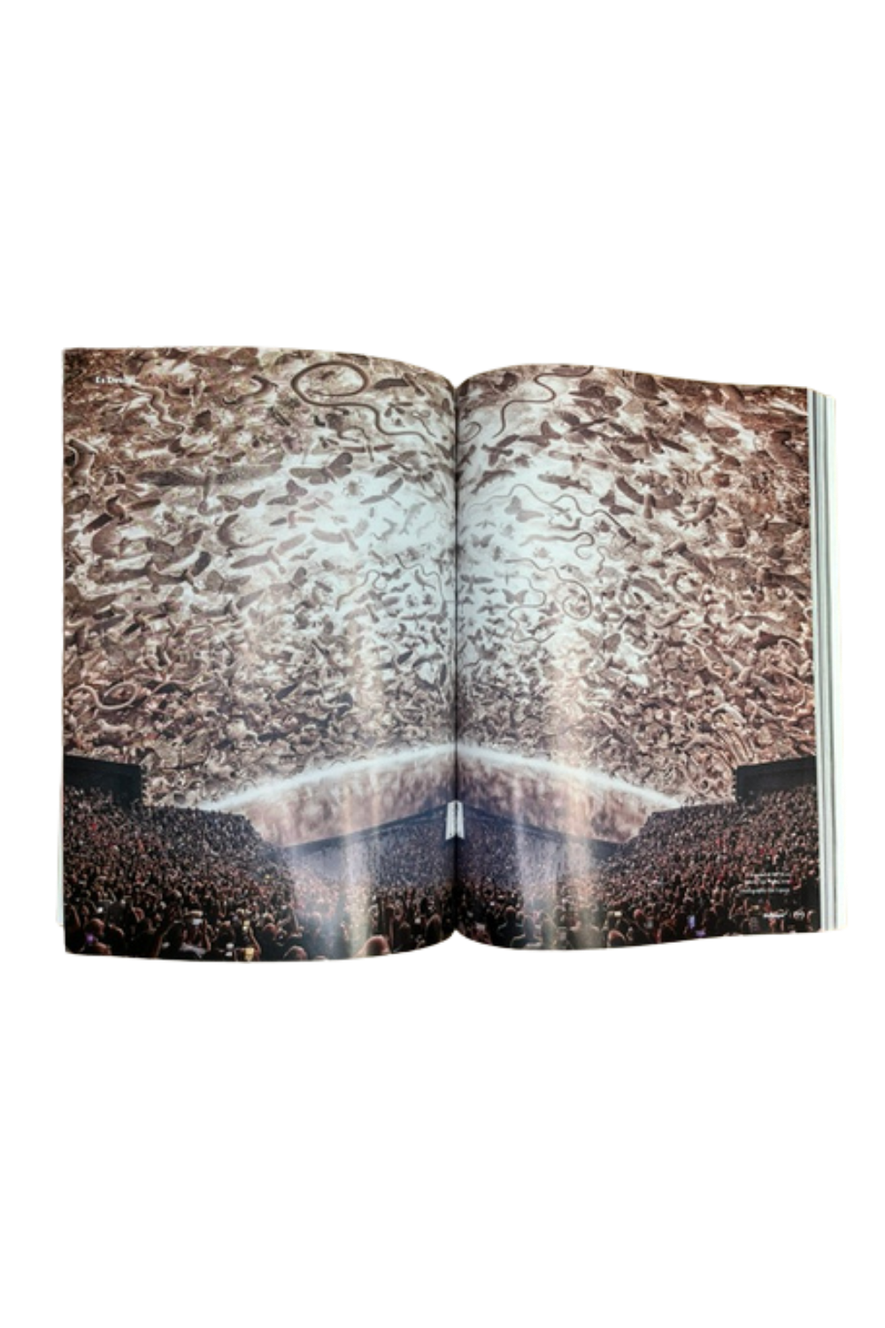 Wallpaper* October 2026