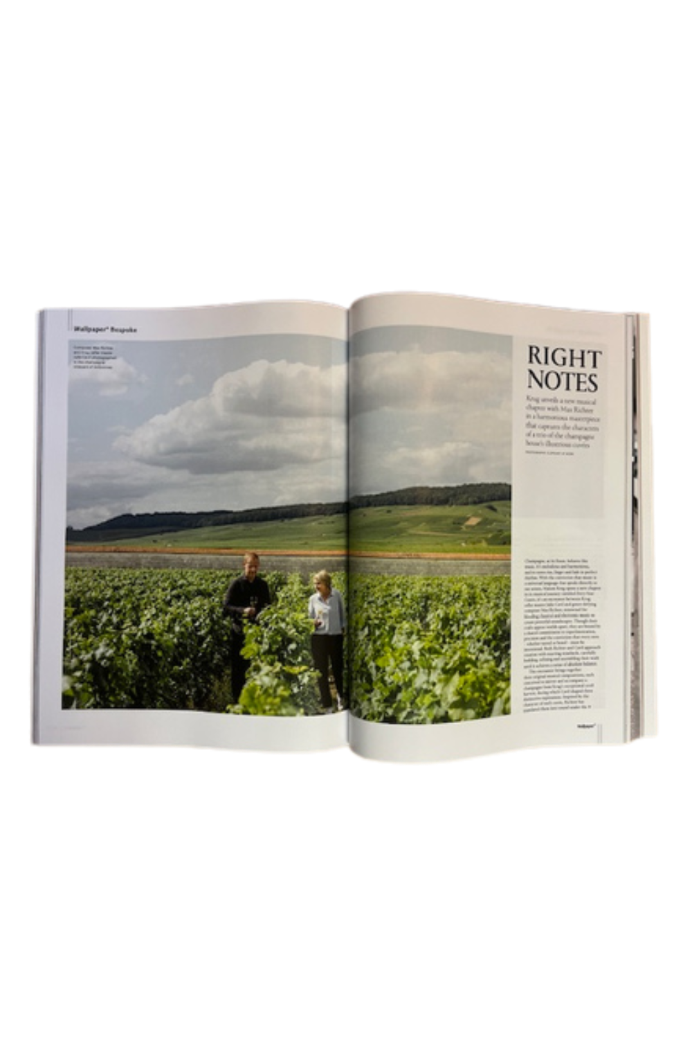 Wallpaper* March 2026