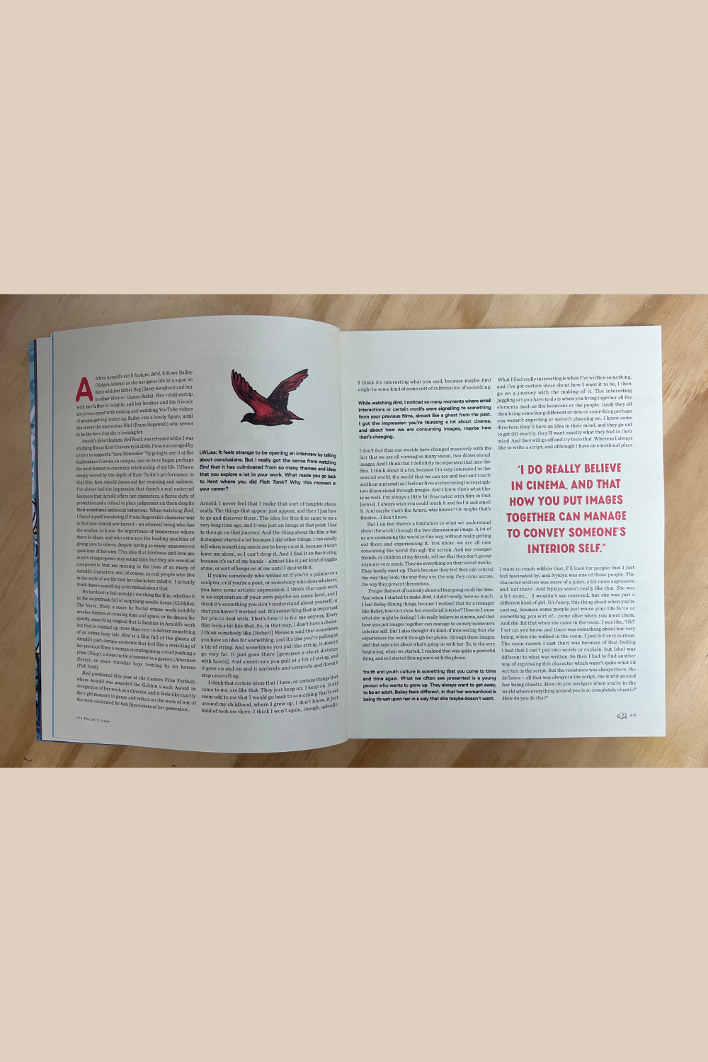 Little White Lies issue 105 - Buy online at Pics & Ink - Pics and Ink