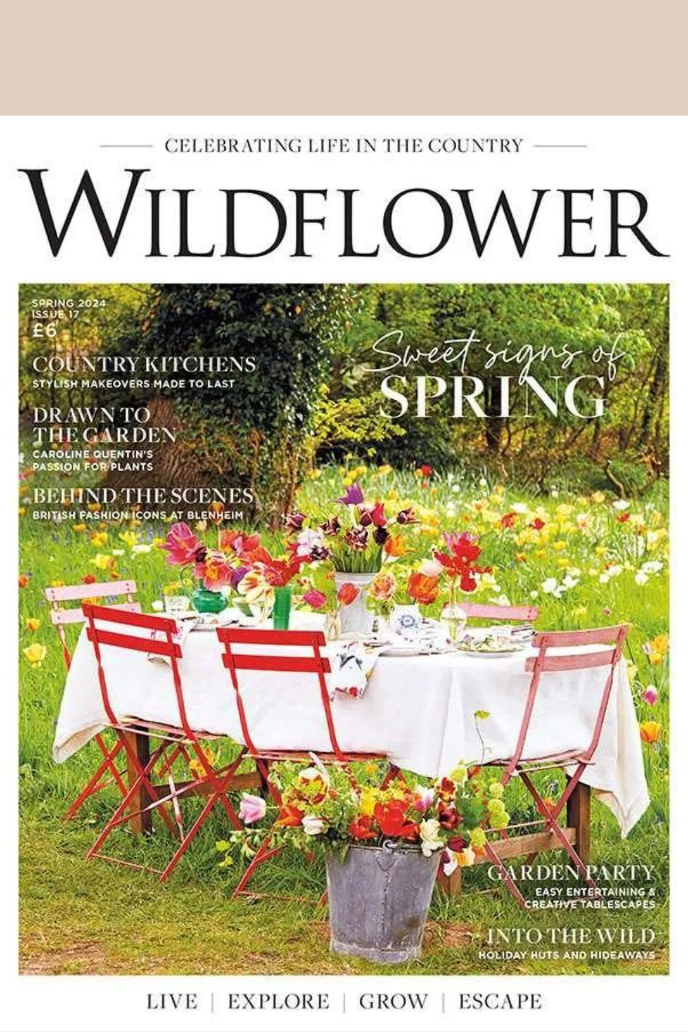 Wildflower Issue 17 cover