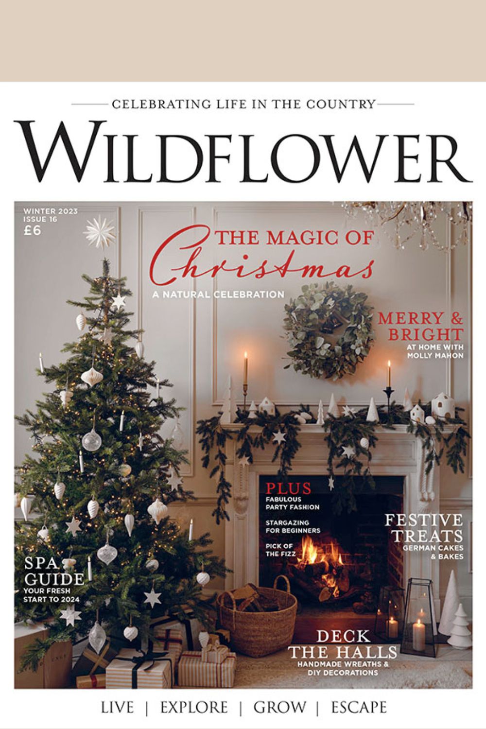 Wildflower Issue 16 cover