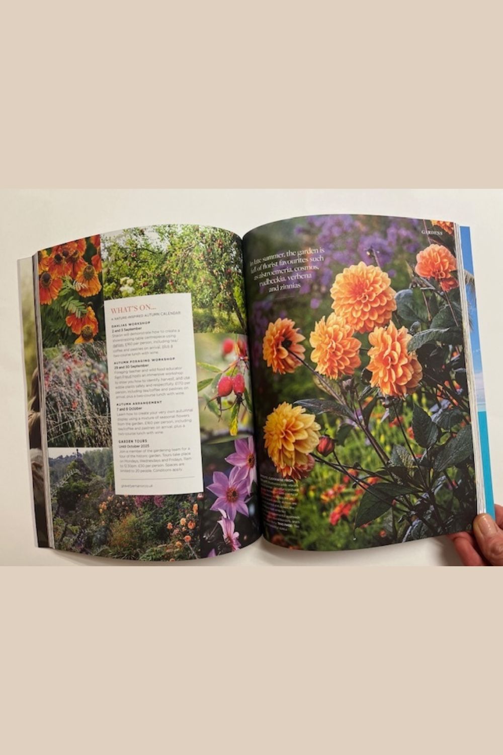 Wildflower Issue 23
