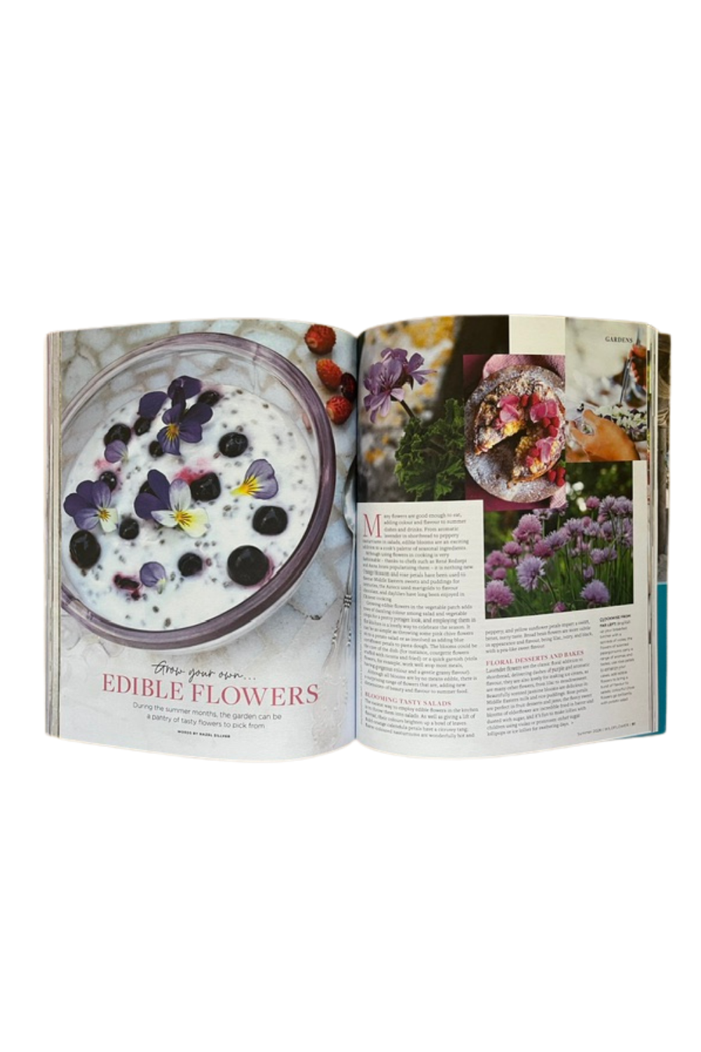 Wildflower Issue 26 Summer 2026