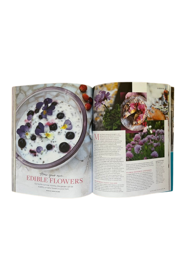 Wildflower Issue 26 - Buy online at Pics & Ink - Pics and Ink