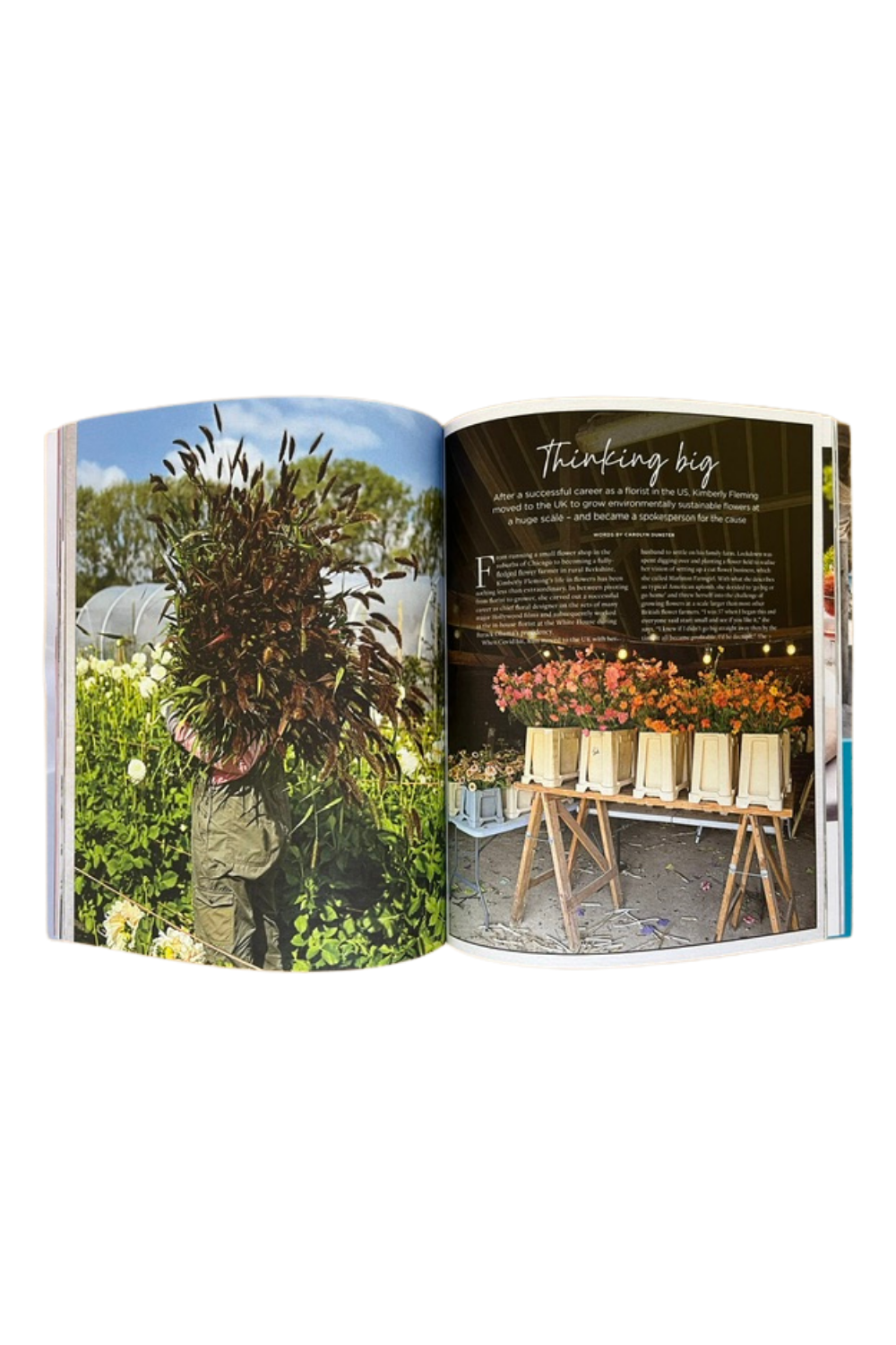 Wildflower Issue 26 Summer 2026