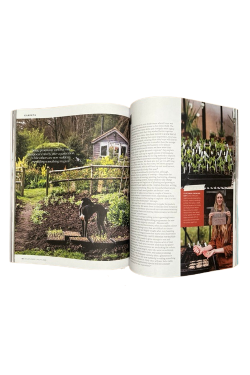 Wildflower Issue 27 Autumn 2026
