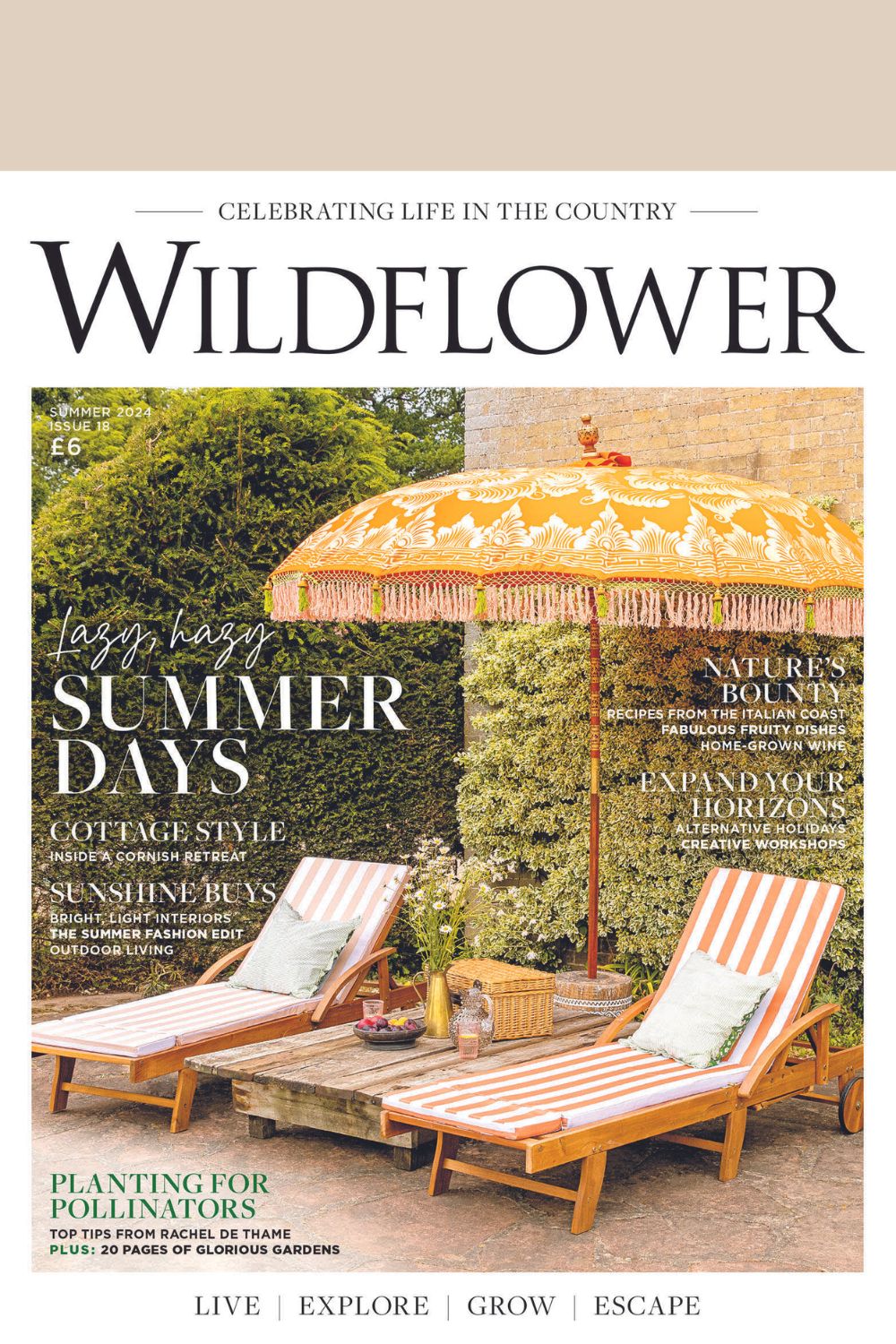 Wildflower Summer 2024 Cover