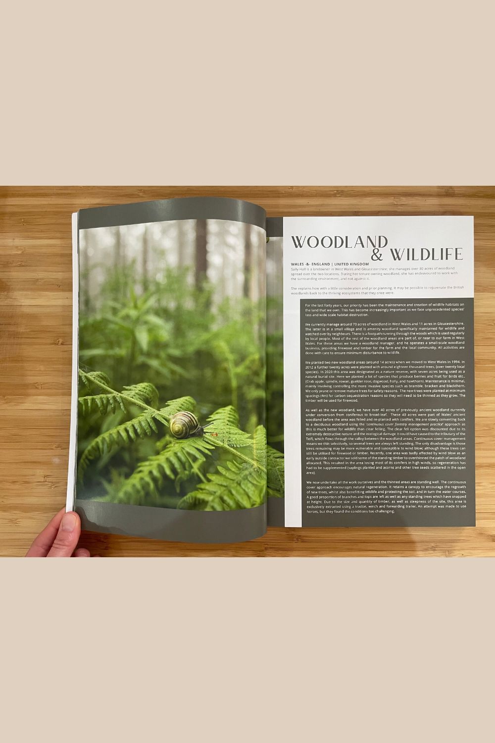 Woop Woop Issue 1: Forest Edition