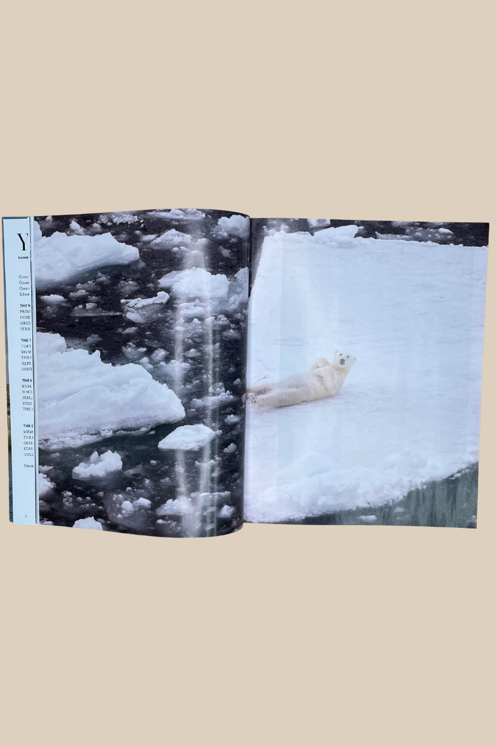 Yolo Journal Issue 20