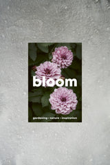 Bloom magazine cover issue 16