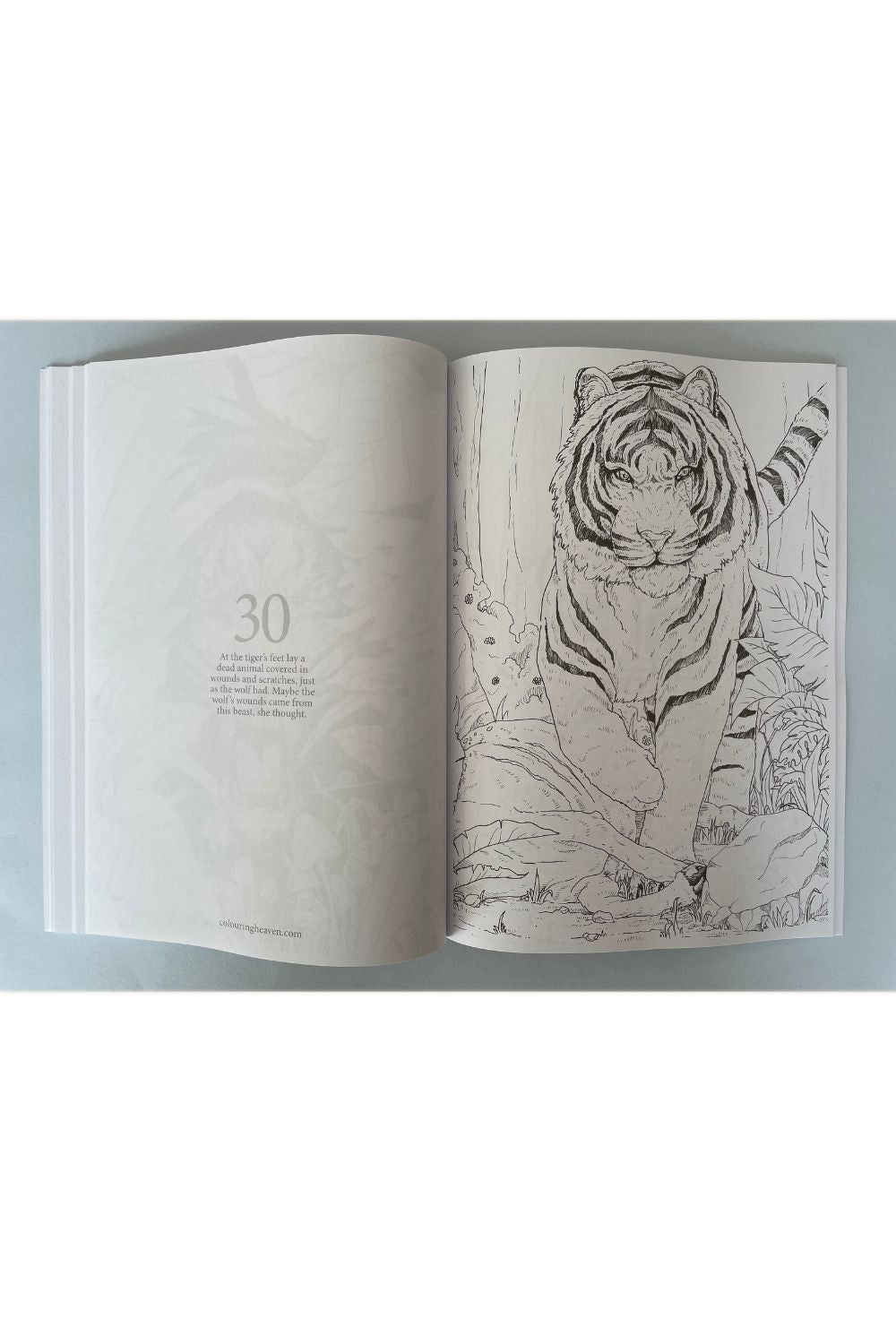 Colouring Heaven #76 Storybook Special