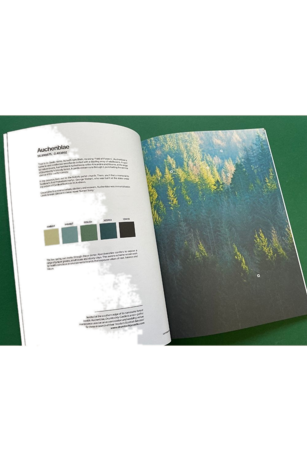 Command+i: Scotland II