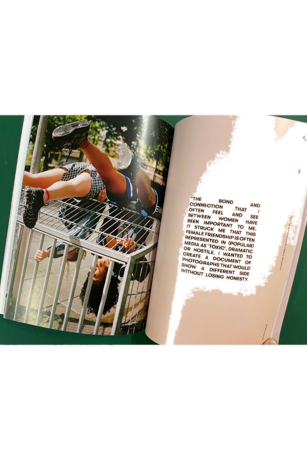 Delicate Rébellion Issue 2