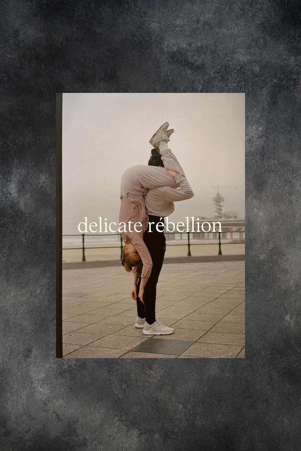 Front cover of Delicate Rebellion magazine Issue 2 on the Pics & Ink shop