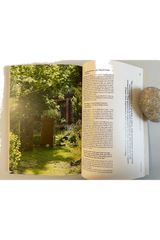 Delicate Rébellion Issue 3