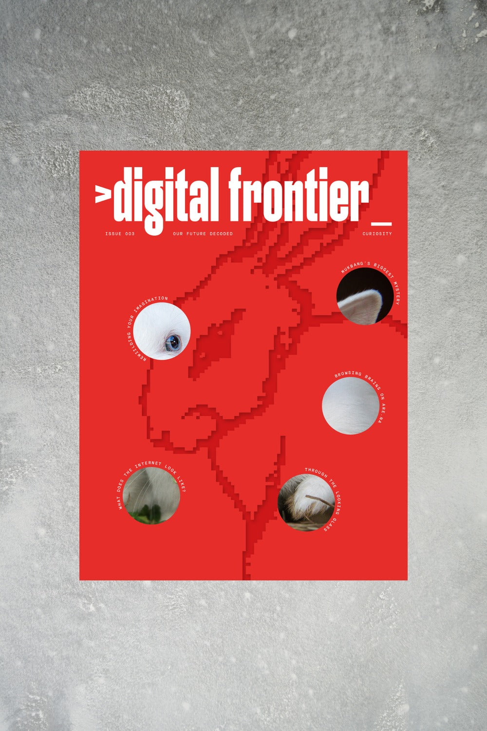 Digital Frontier 003 Cover