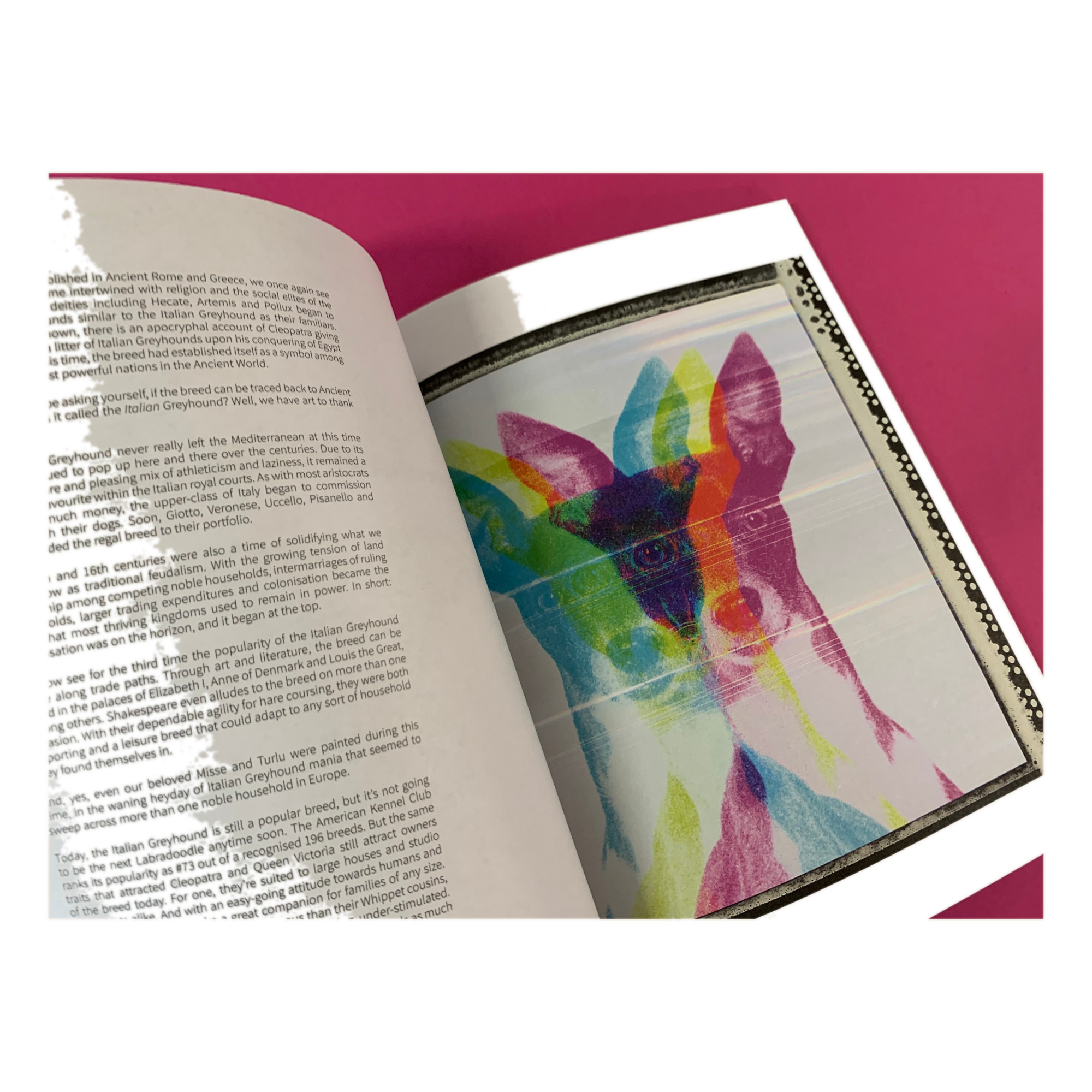 Dog Mag Issue 7