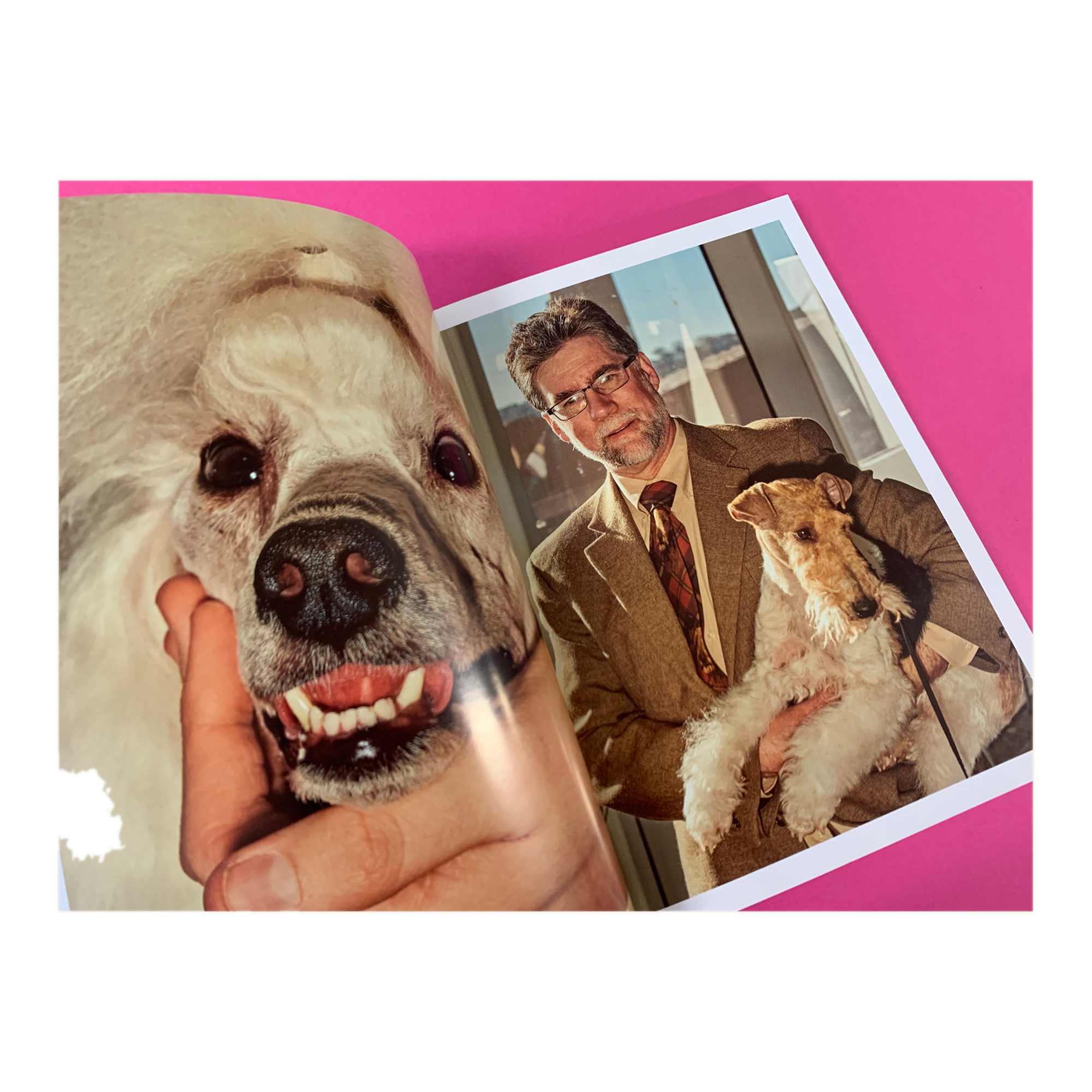 Dog Mag Issue 7
