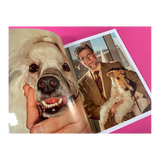 Dog Mag Issue 7