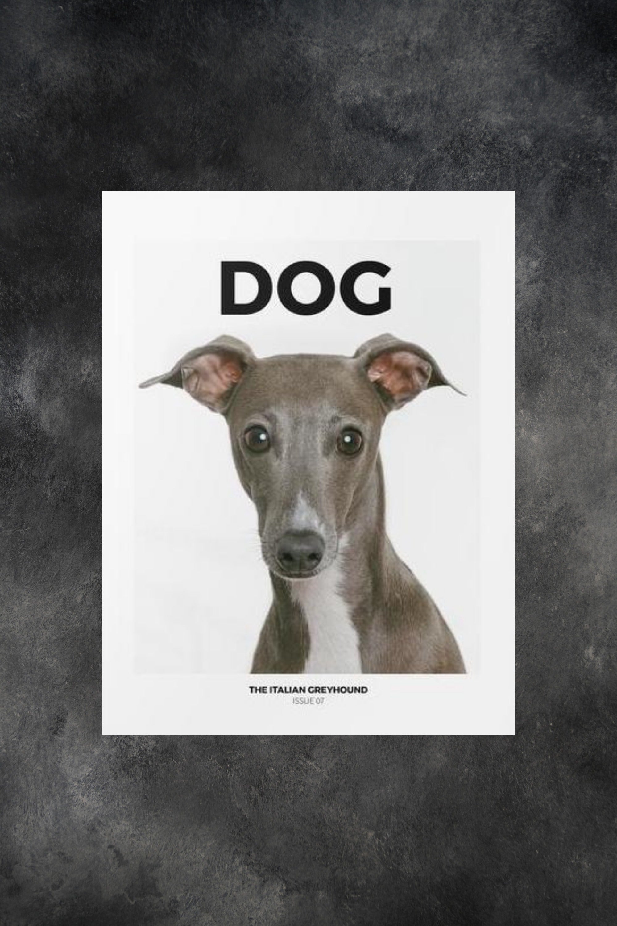 Dog Mag Issue 7
