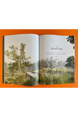 Enki Volume 36
