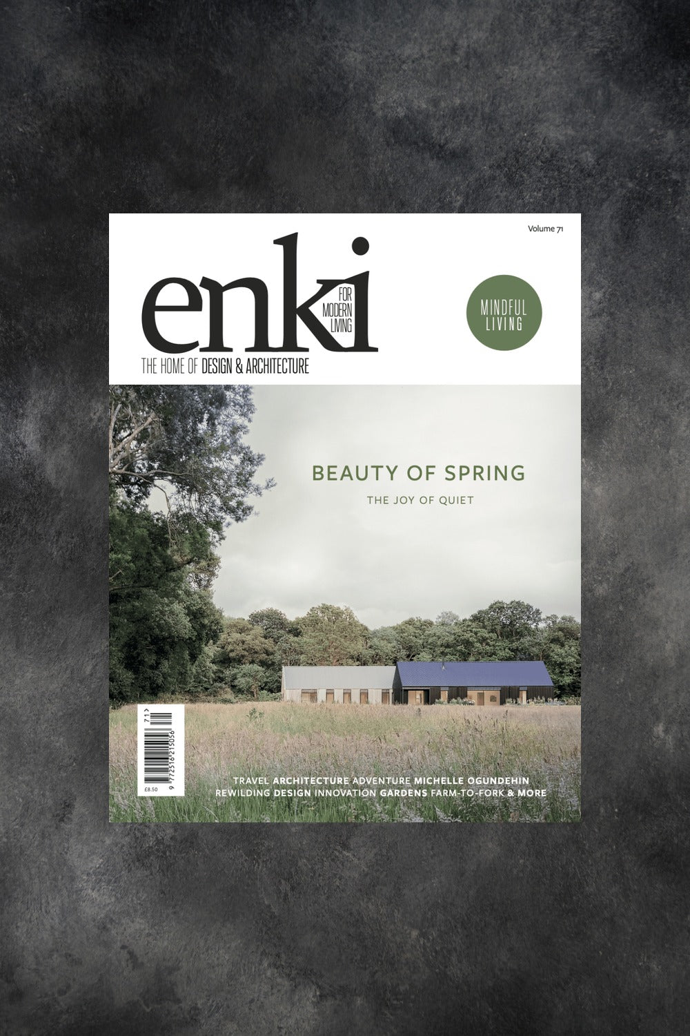 Enki 71 Cover