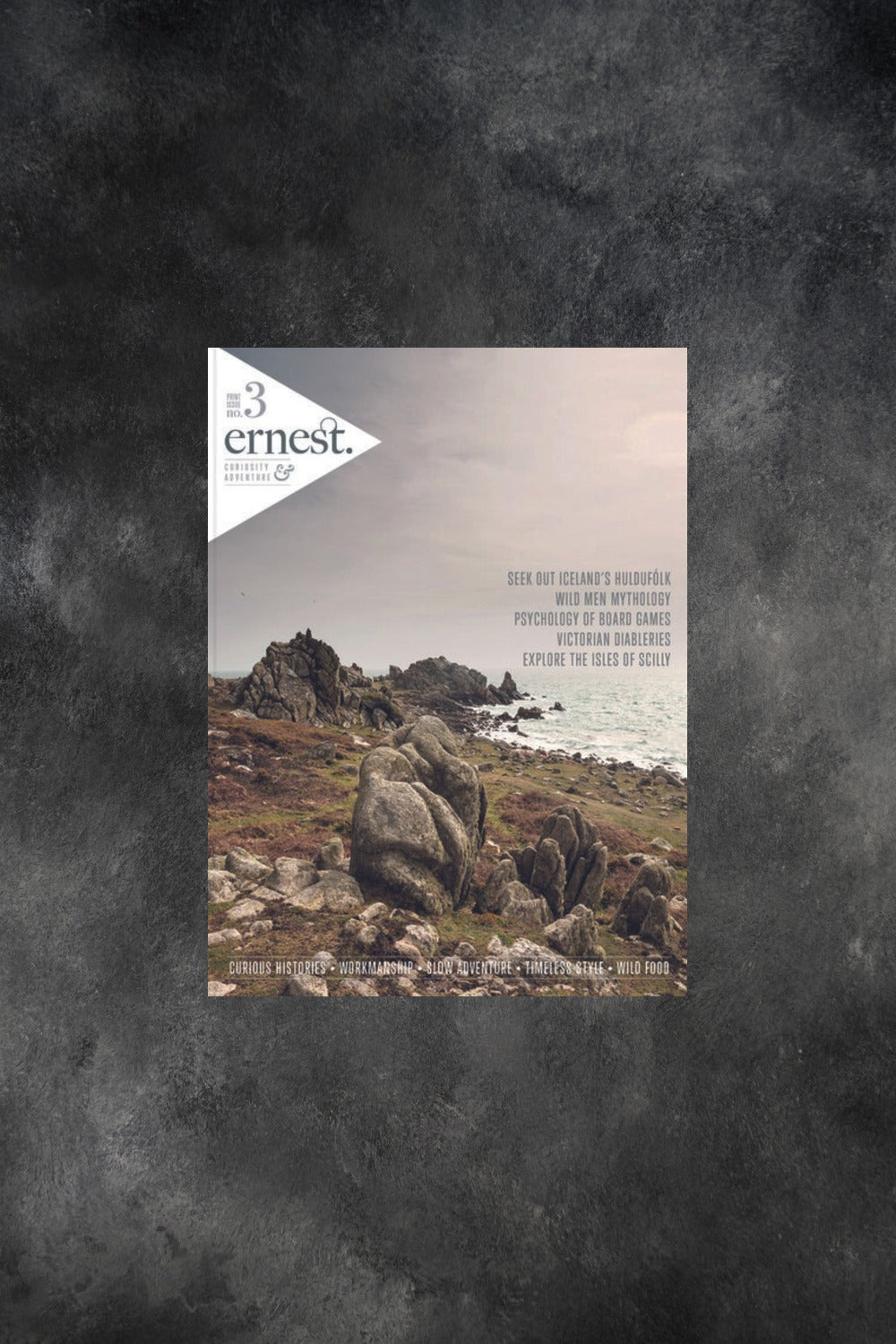 Ernest Journal Issue 3 cover with rocky shoreline background