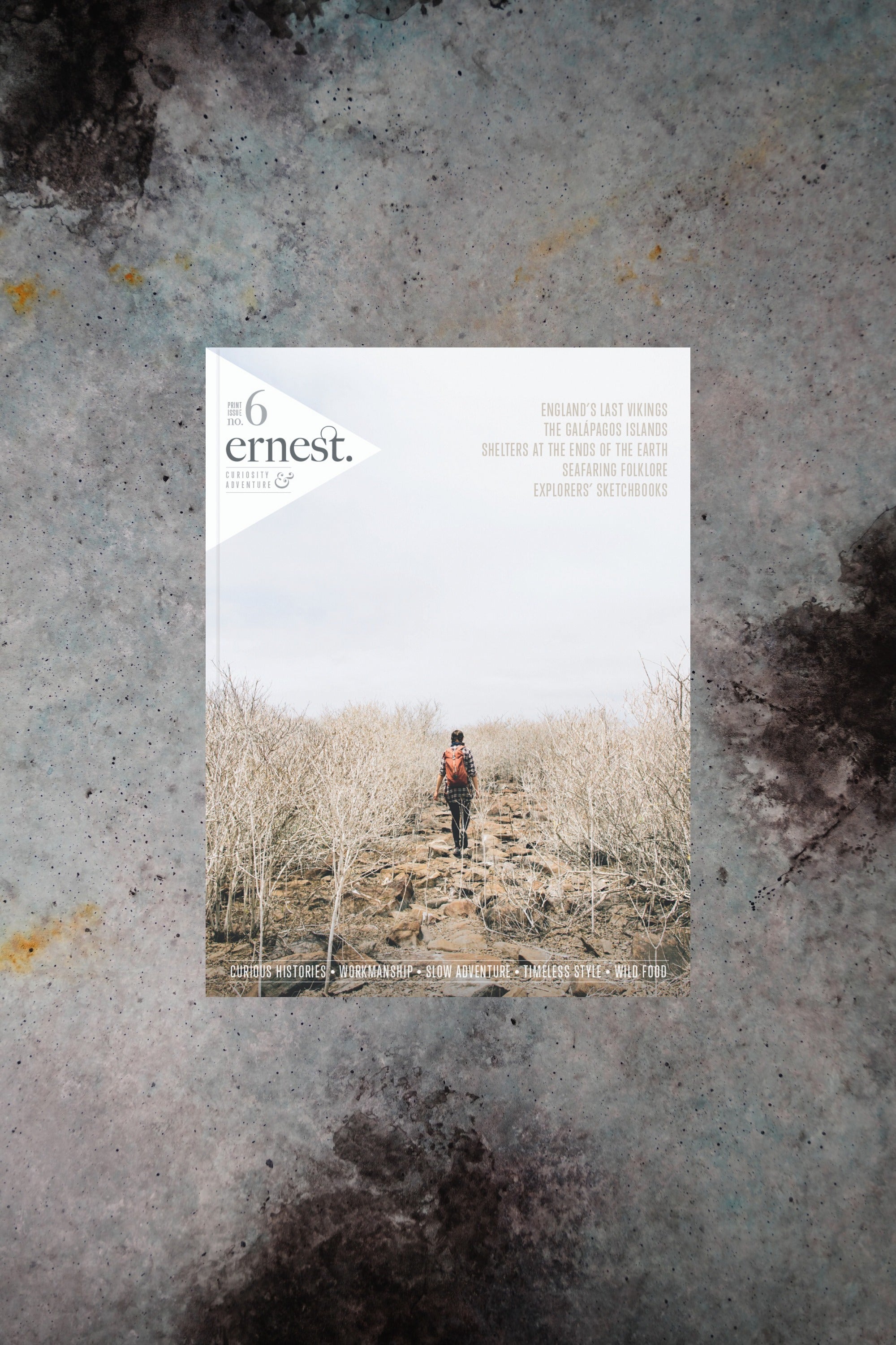 Ernest Journal 6