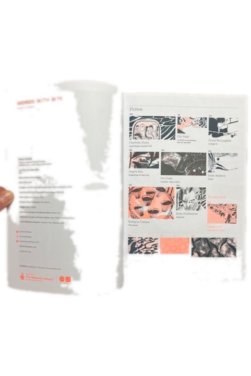 Extra Teeth Issue 10