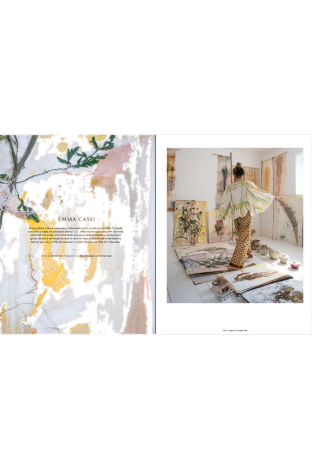 Faire Issue 2