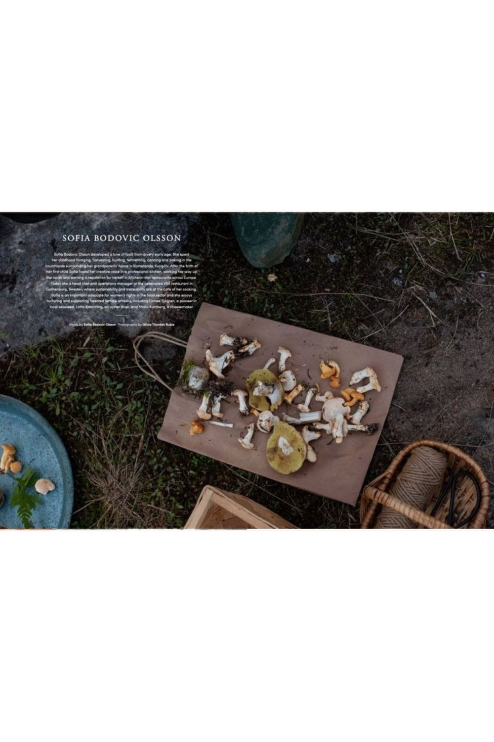 Faire Issue 4
