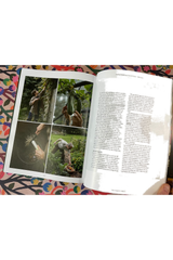 Faire Issue 7