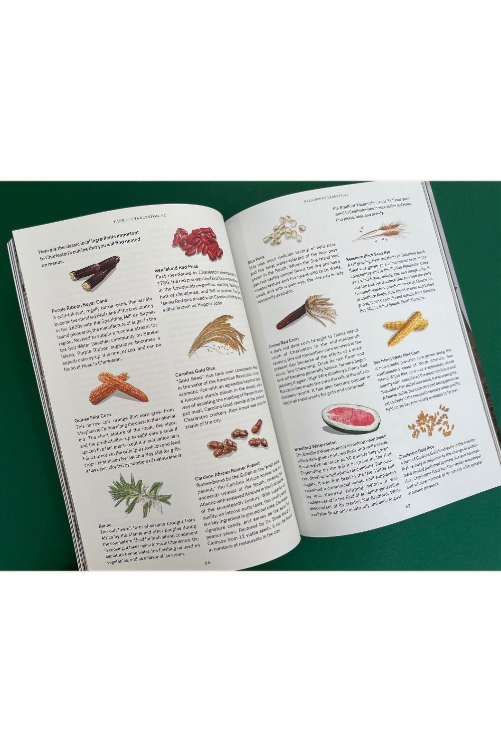 Charleston vegetables in Issue 3 of Fare Magazine