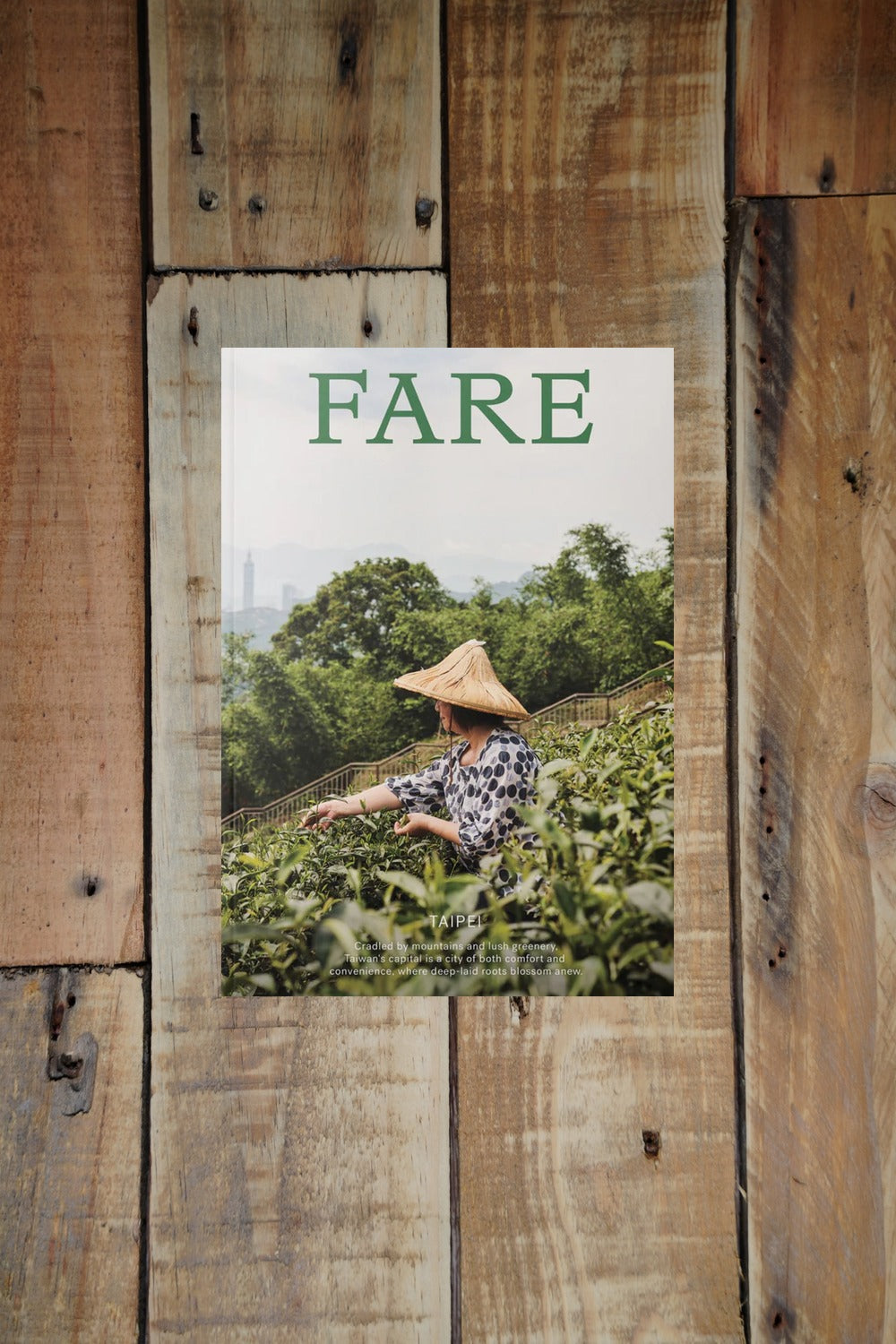Cover of Fare the Taipei issue