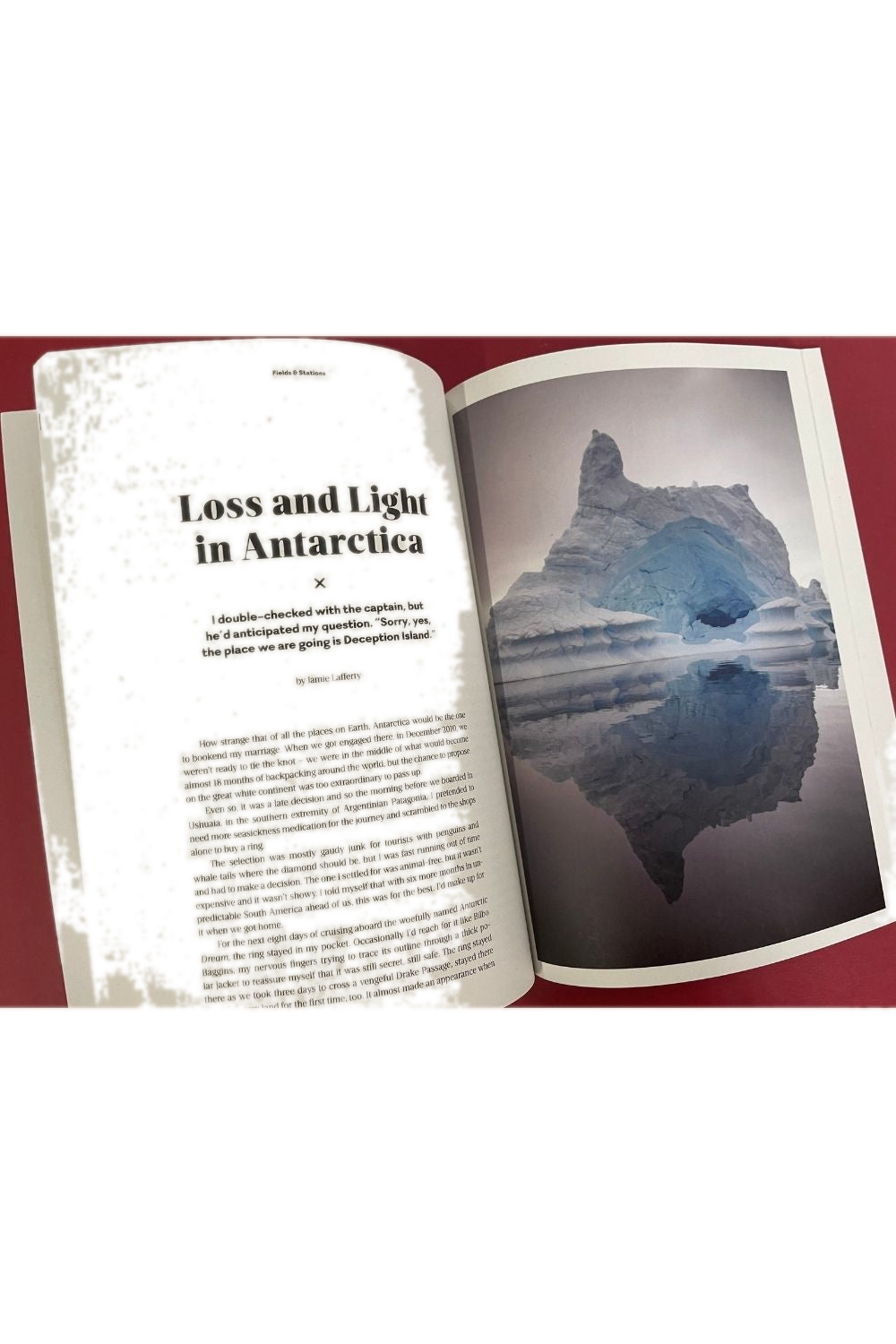 Fields & Stations Issue 5