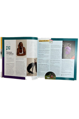 Freelancer Issue 20
