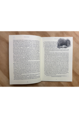 Friends on the Shelf Issue 10